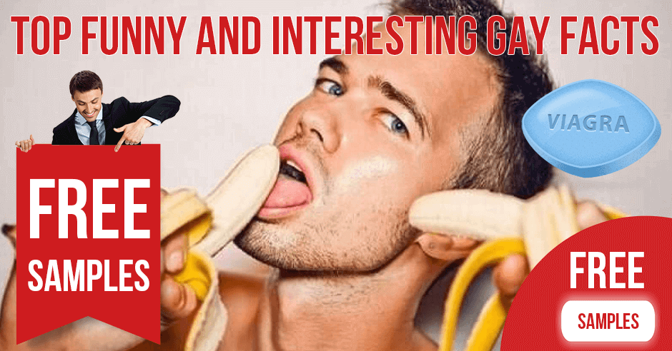 Top Funny and Interesting Gay Facts