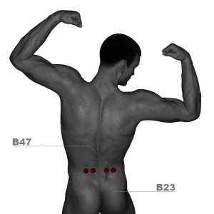 Acupuncture points B47 and B23
